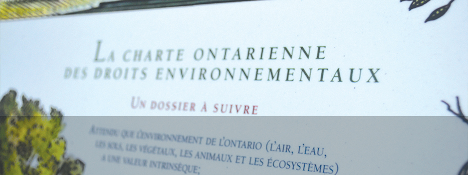 Slide: Mise en oeuvre de la Charte des droits environnementaux de 1993