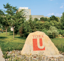 Audit de l’optimisation des ressources : Université York – Opérations et immobilisations (2023)