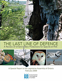 2009 Special Report: The Last Line of Defence