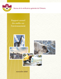 Rapport annuel des audits sur l’environnement